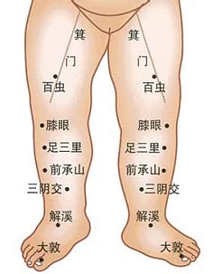 鼠膝部穴位